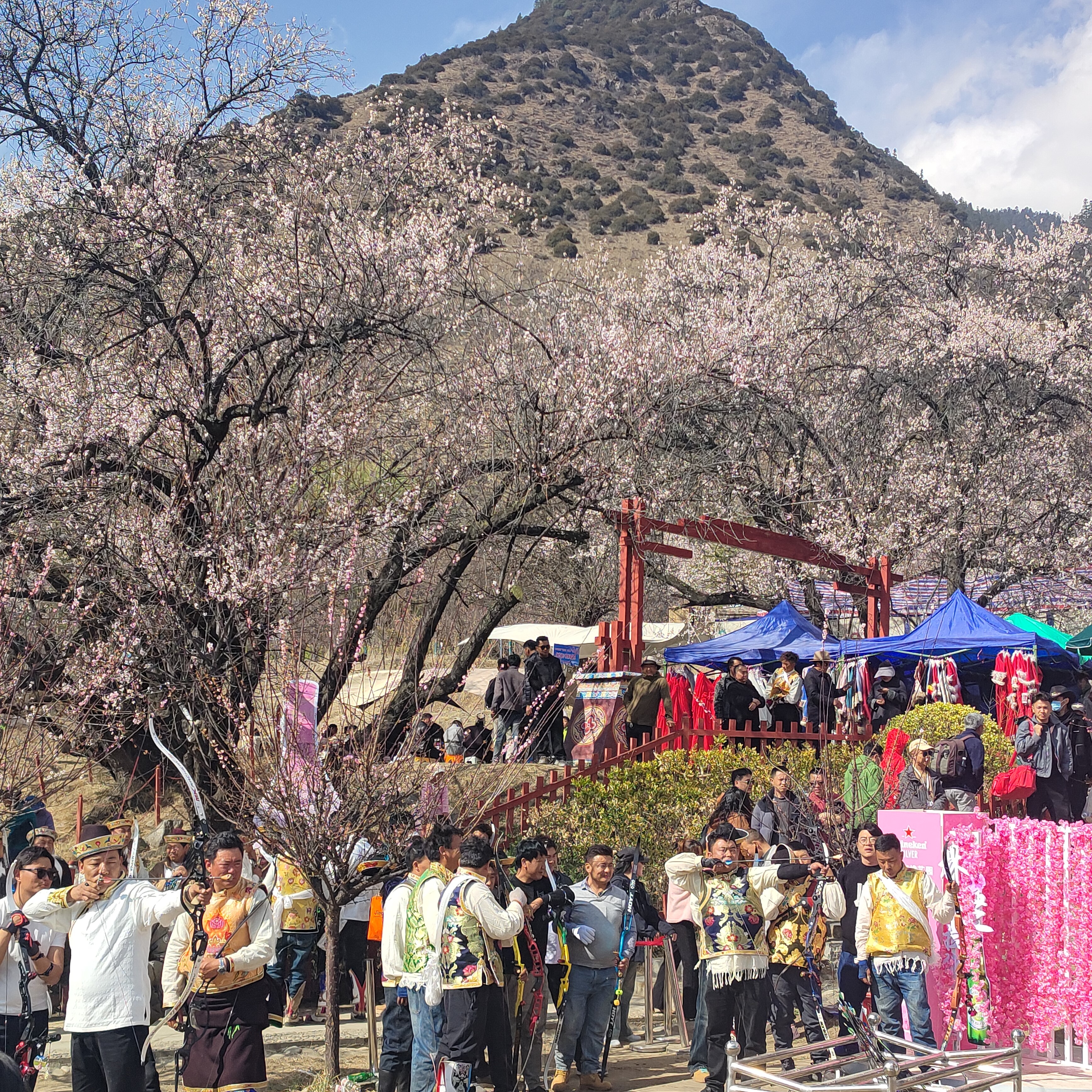 脱贫村的这五年 | 从“门票经济”到“体验经济”——嘎拉有个桃花源