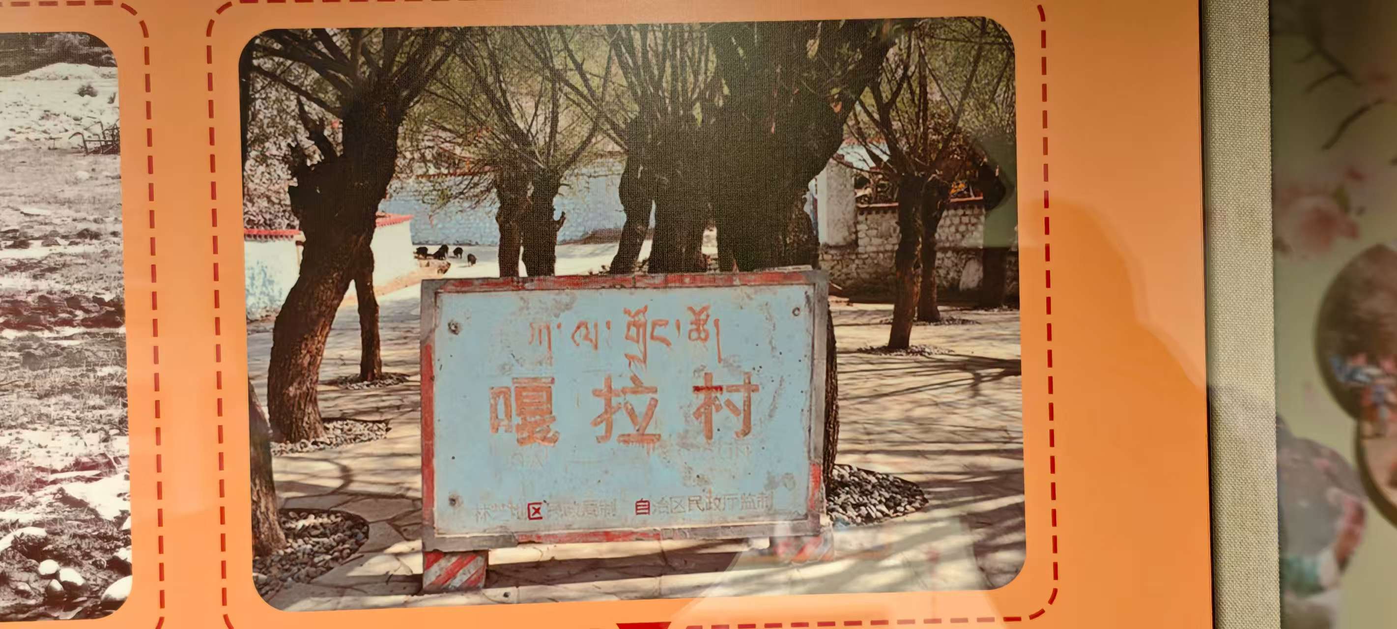 脱贫村的这五年 | 从“门票经济”到“体验经济”——嘎拉有个桃花源