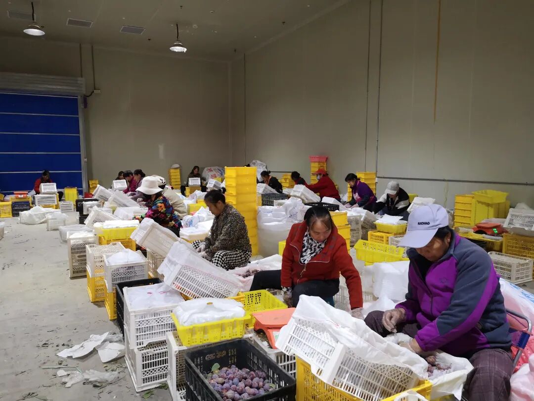 脱贫村的这五年 | 从贫困村到示范村——英买里筑起幸福新家园