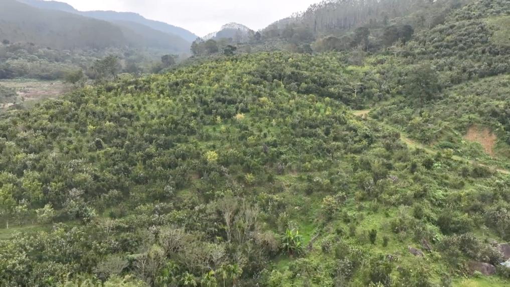 特色产业激活乡村振兴动能