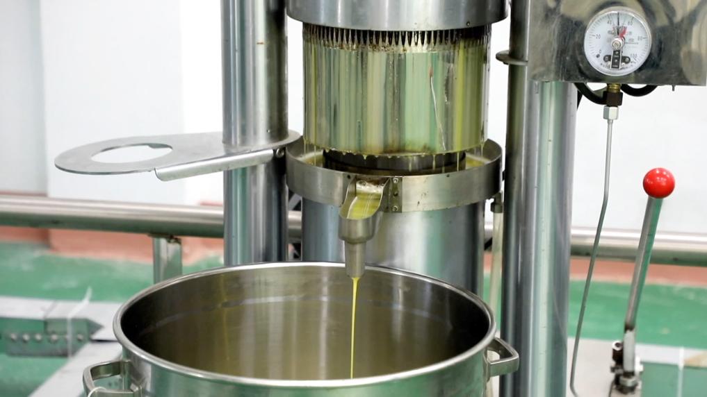 特色产业激活乡村振兴动能