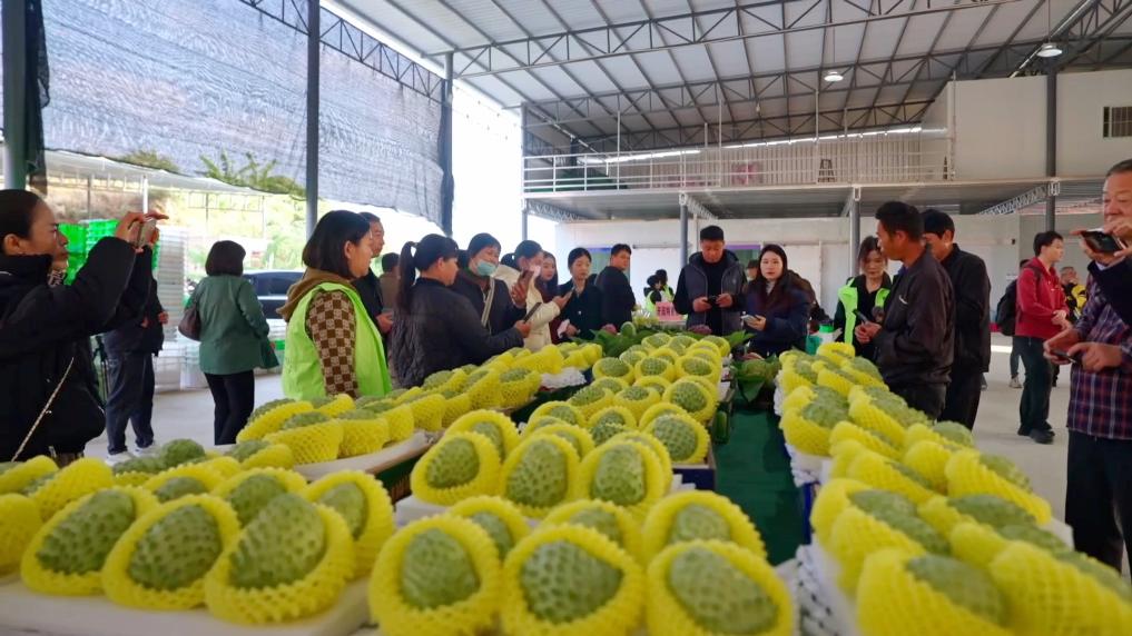 特色产业激活乡村振兴动能