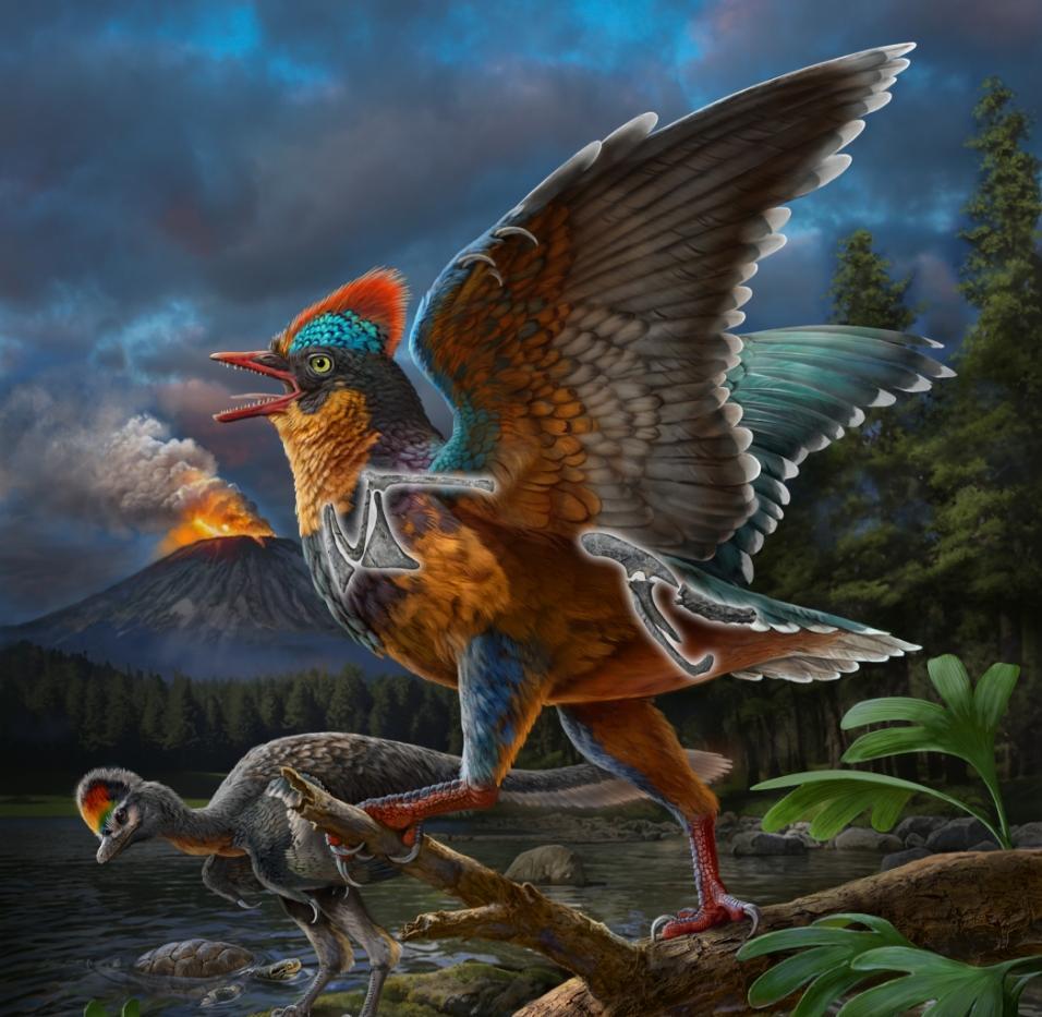 科学与健康|改写生命演化史!2025我国古生物学研究在多领域取得突破 科学与健康|改写生命演化史!2025我国古生物学研究在多领域取得突破