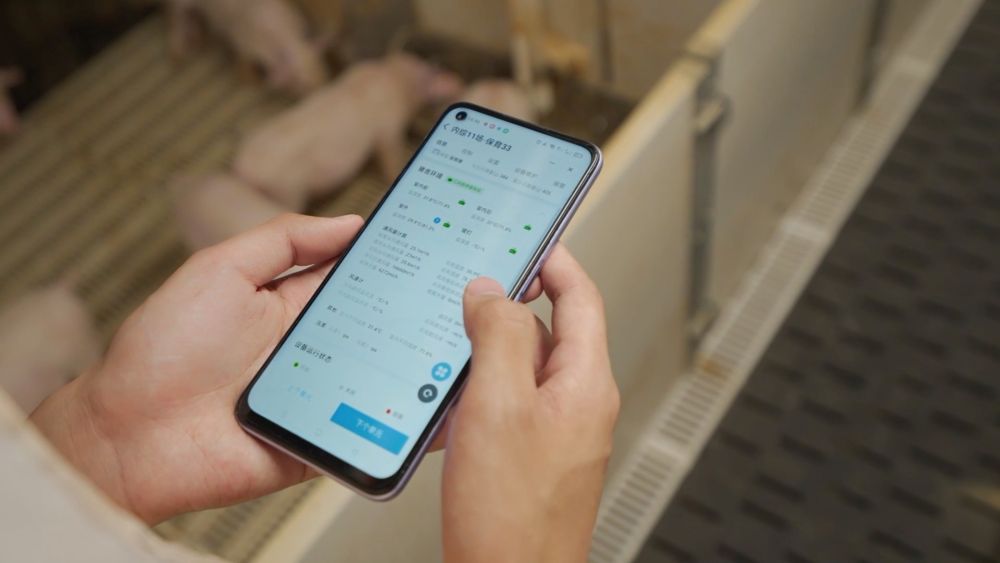 锻造新引擎：创新改革引领新质生产力发展