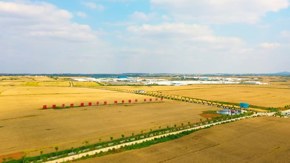 锻造新引擎：创新改革引领新质生产力发展