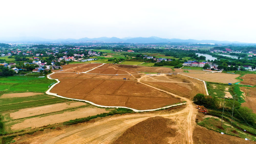 四中全会精神在基层|湖南浏阳：一亩耕地的“生长”