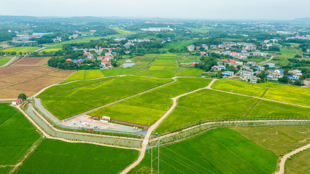 四中全会精神在基层|湖南浏阳：一亩耕地的“生长”