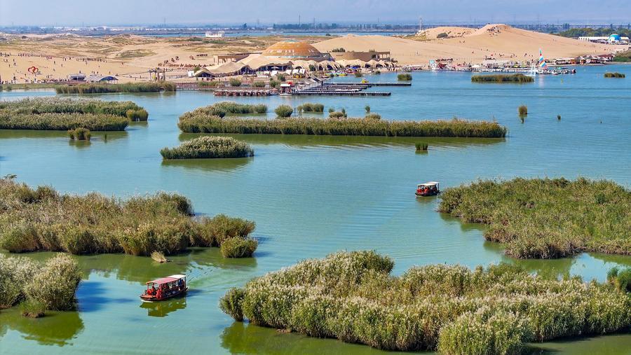 这条高铁线，“香”迷糊了！