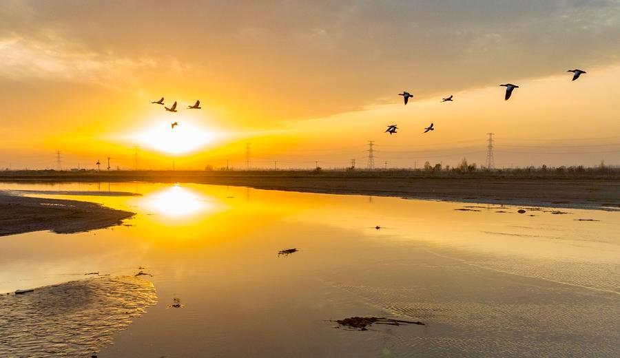 这条高铁线，“香”迷糊了！