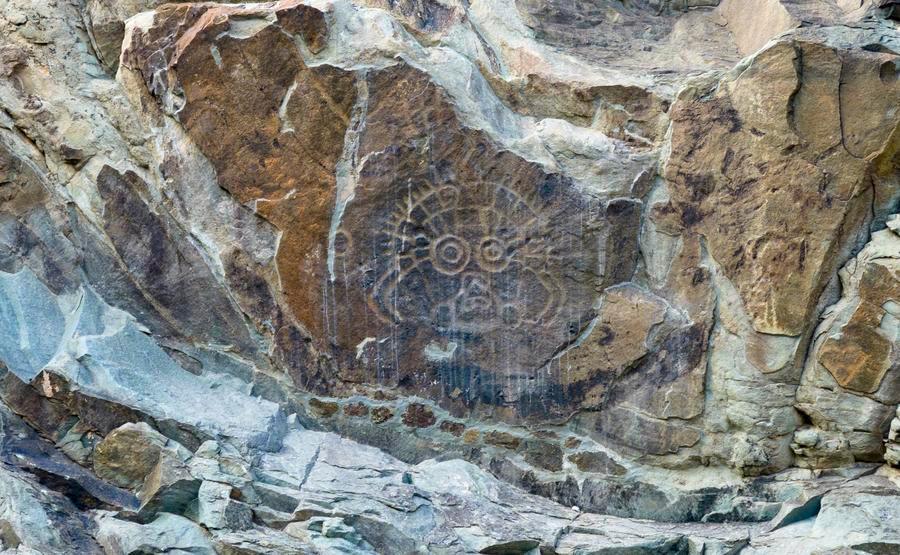 这条高铁线，“香”迷糊了！