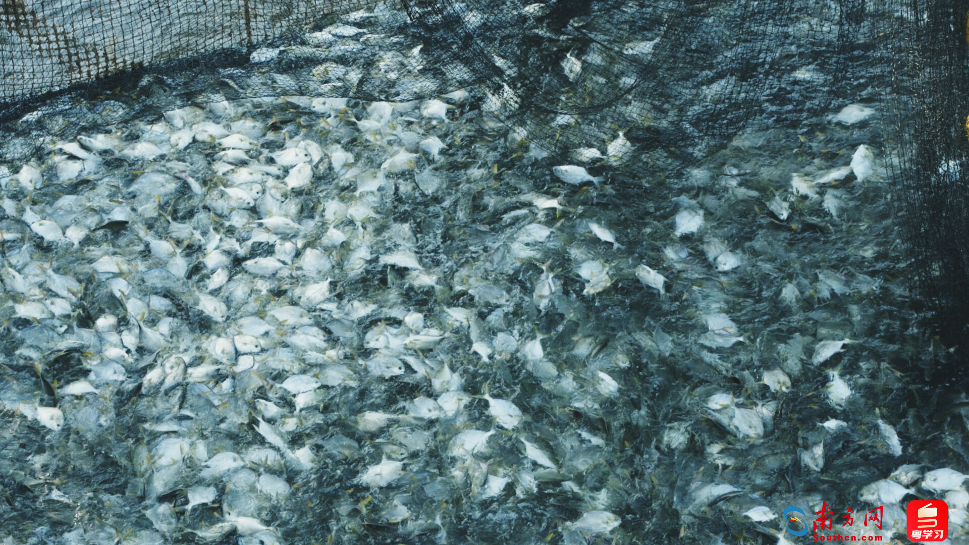 百千万·山海间｜海上的800个日夜