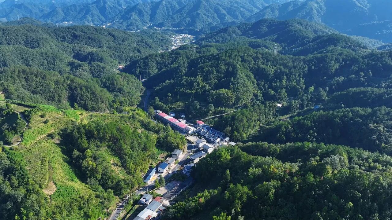 脱贫村的这五年 | 从“‘窟窿’账本”到“产业蓬勃”——黄金村里有“黄金”