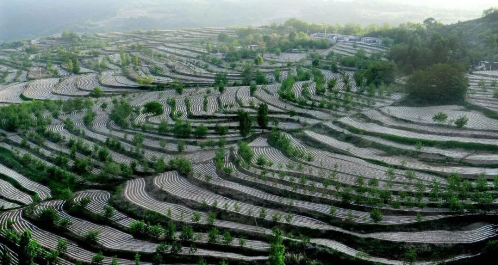 下一站，延安！