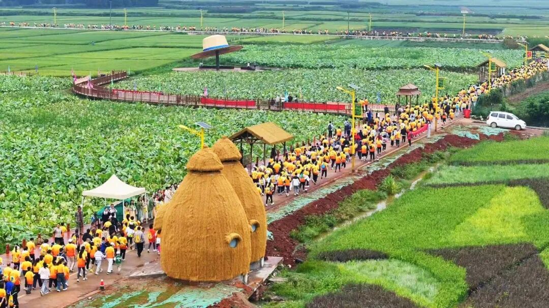 脱贫村的这五年 | 从“苏醒动身”到“蓄能启程”——白雾起跑向振兴