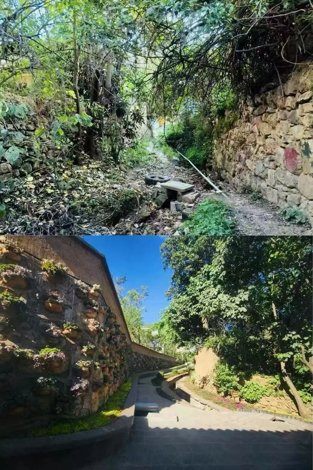 脱贫村的这五年 | 从“苏醒动身”到“蓄能启程”——白雾起跑向振兴