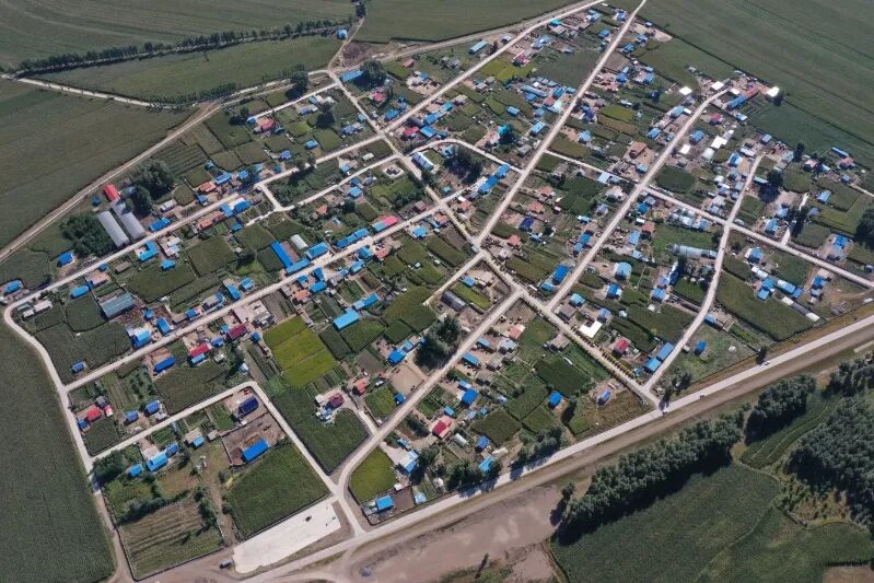 脱贫村的这五年 | 从“回村‘救场’”到“‘三联’共创”——五家子兴起在兴安岭 脱贫村的这五年 | 从“回村‘救场’”到“‘三联’共创”——五家子兴起在兴安岭