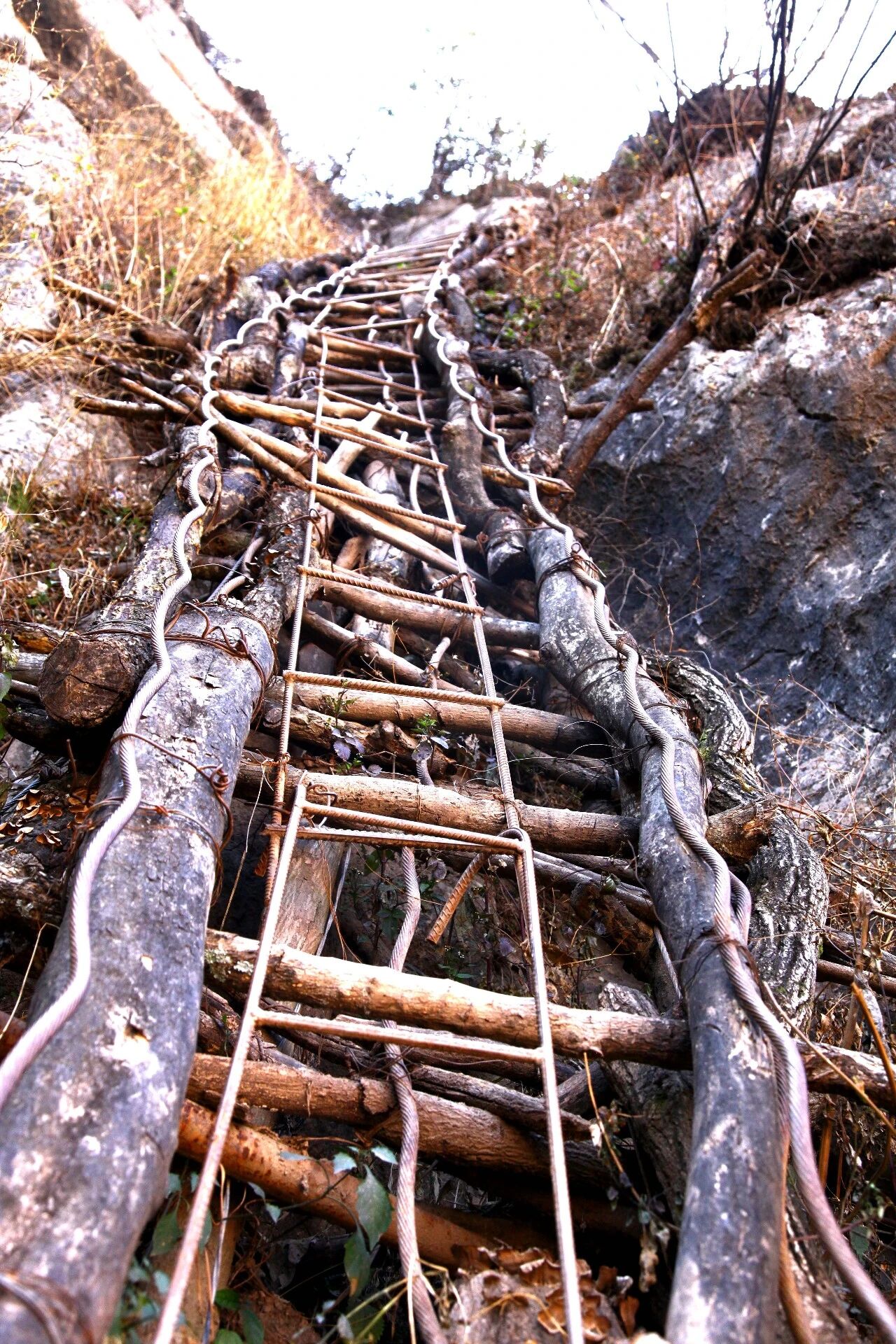 脱贫村的这五年 | 从峭壁钢梯到幸福通途——悬崖绽放索玛花