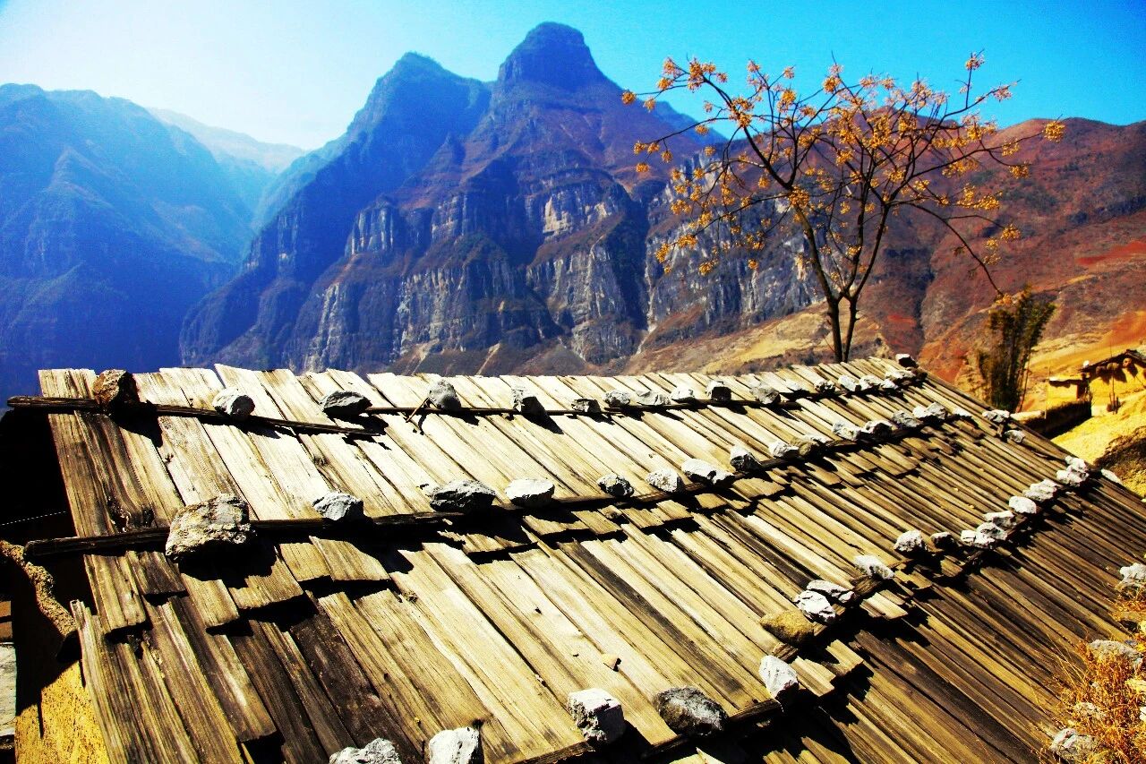 脱贫村的这五年 | 从峭壁钢梯到幸福通途——悬崖绽放索玛花