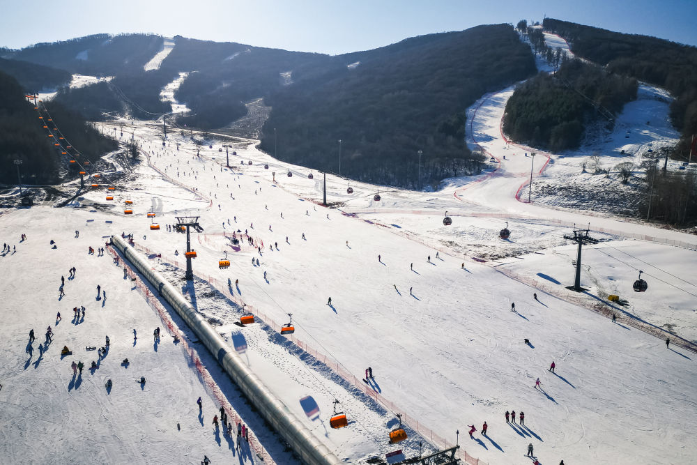 飞扬2025｜这片冰雪，燃动着中国体育的荣耀与热度