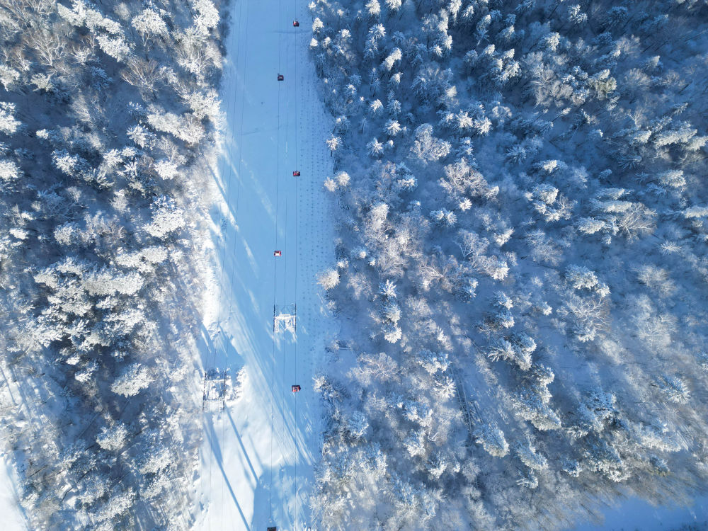 飞扬2025｜这片冰雪，燃动着中国体育的荣耀与热度