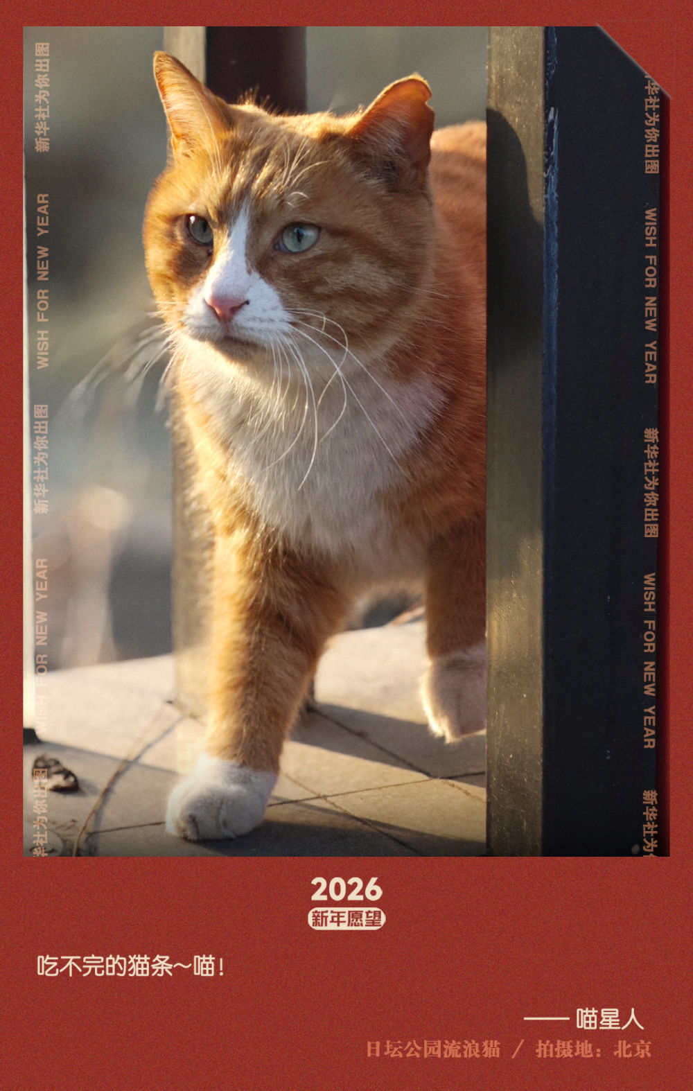 新华社出图｜交换你的新年愿望