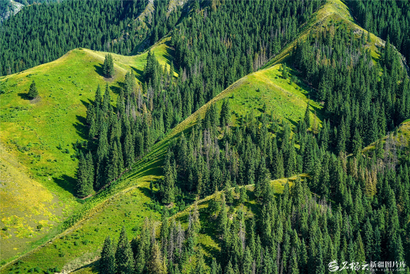 山河焕彩 绿润新疆——2025年新疆擦亮高质量发展最美底色