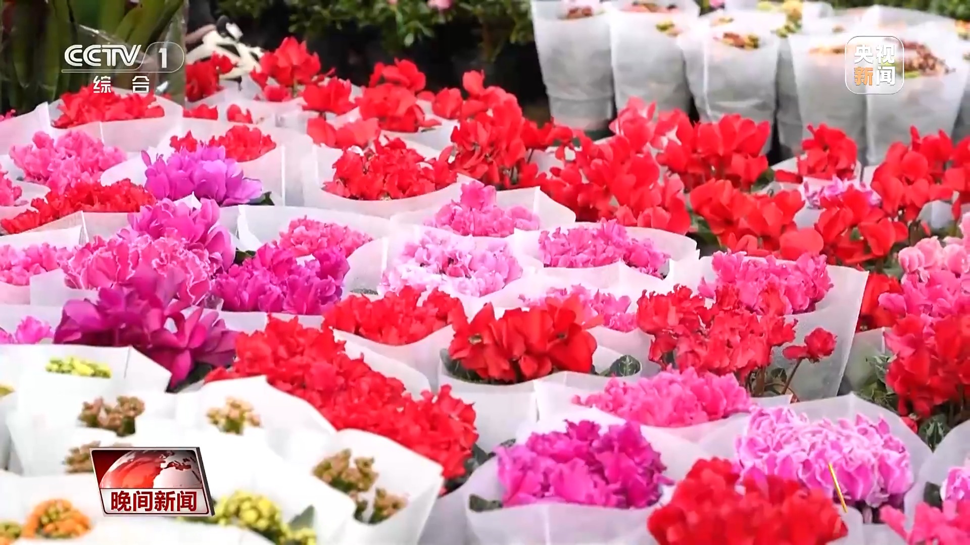 视频丨元旦将至 各地消费市场持续升温 节日氛围浓厚