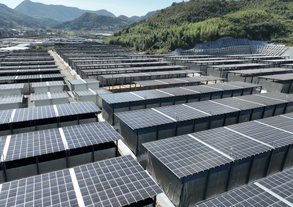 中国经济样本观察·“镇”了不起｜你餐桌上的银耳，近六成产自这个小镇