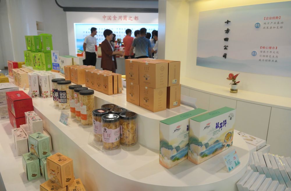 中国经济样本观察·“镇”了不起｜你餐桌上的银耳，近六成产自这个小镇