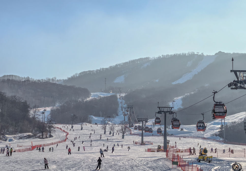 财经聚焦|跨年消费,场景焕新,有哪些新看点? 财经聚焦|跨年消费,场景焕新,有哪些新看点?