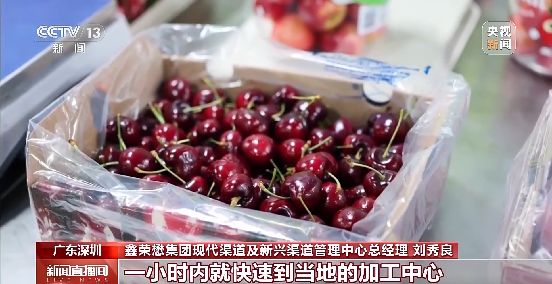 元旦佳节“鲜”味浓!新奇蔬果、头茬早茶、活蹦海鲜都来了