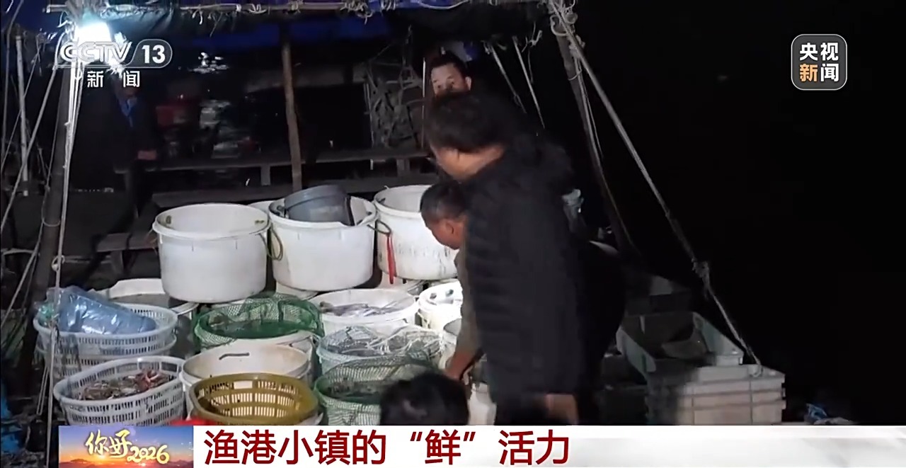 元旦佳节“鲜”味浓!新奇蔬果、头茬早茶、活蹦海鲜都来了