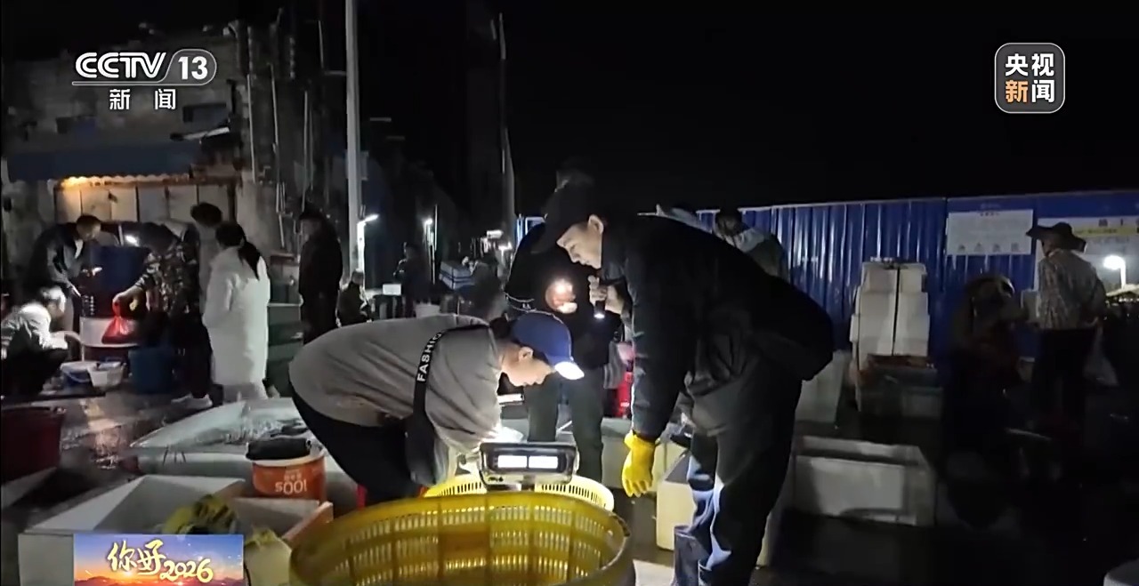 元旦佳节“鲜”味浓!新奇蔬果、头茬早茶、活蹦海鲜都来了