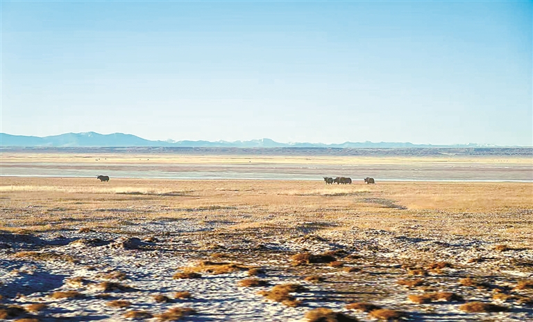 从羌塘到阿尔金山,守护同一片碧水蓝天