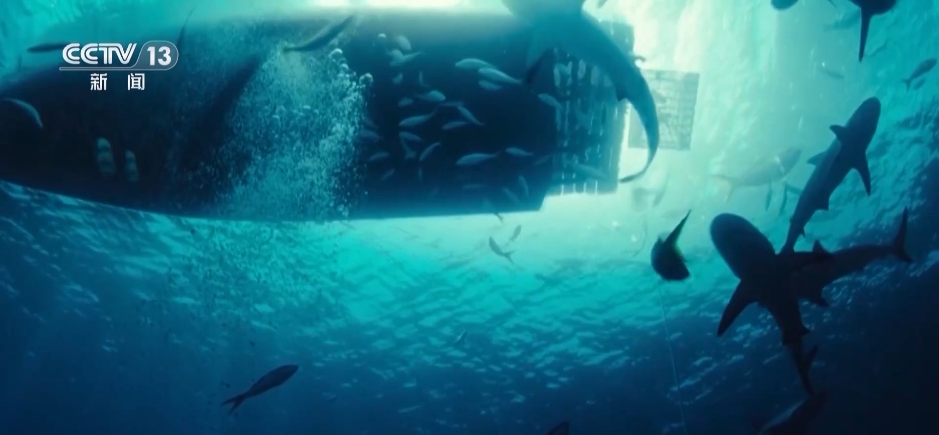 观众口碑+文化影响力持续提升 中国电影实力“圈粉”海外