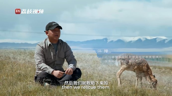 滚滚长江·上篇:缘起世界屋脊 绵延万里的生命律动和自然之美