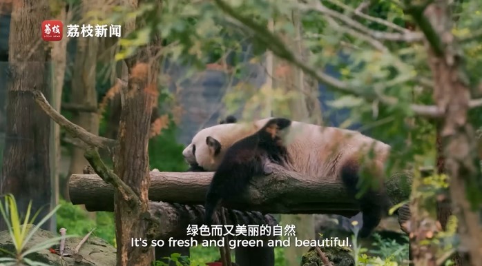 滚滚长江·上篇:缘起世界屋脊 绵延万里的生命律动和自然之美