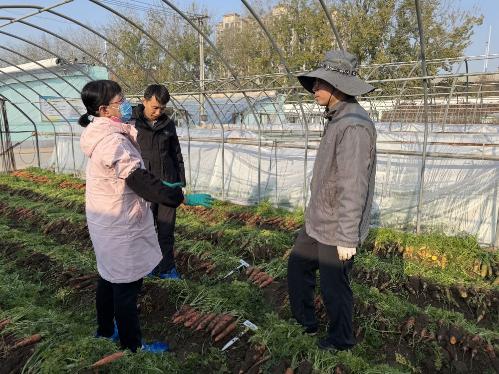 习近平总书记关切事·嘱托|沃野兴农人的丰收密码 习近平总书记关切事·嘱托|沃野兴农人的丰收密码