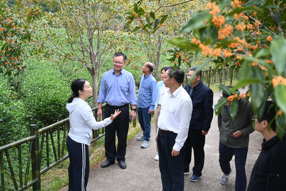 习近平总书记关切事·嘱托|沃野兴农人的丰收密码 习近平总书记关切事·嘱托|沃野兴农人的丰收密码