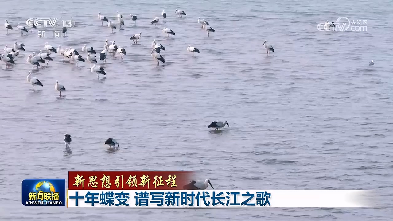 【新思想引领新征程】十年蝶变 谱写新时代长江之歌