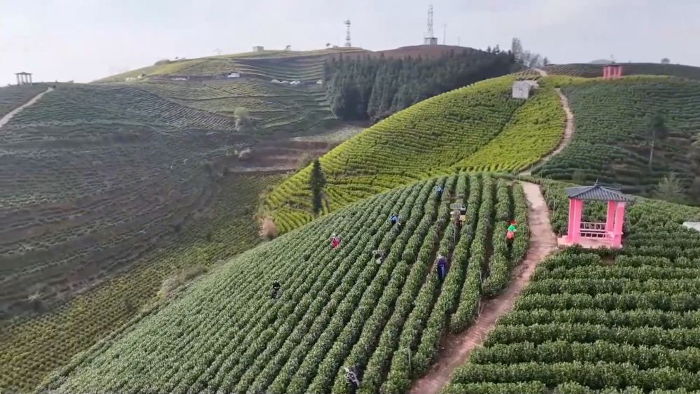 新华视点｜各地以高质量发展实践开启新局