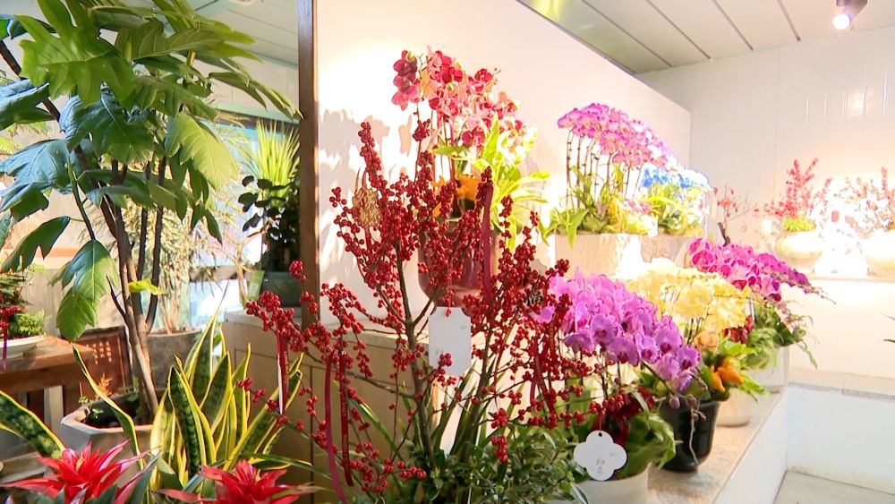 新华视点｜各地以高质量发展实践开启新局