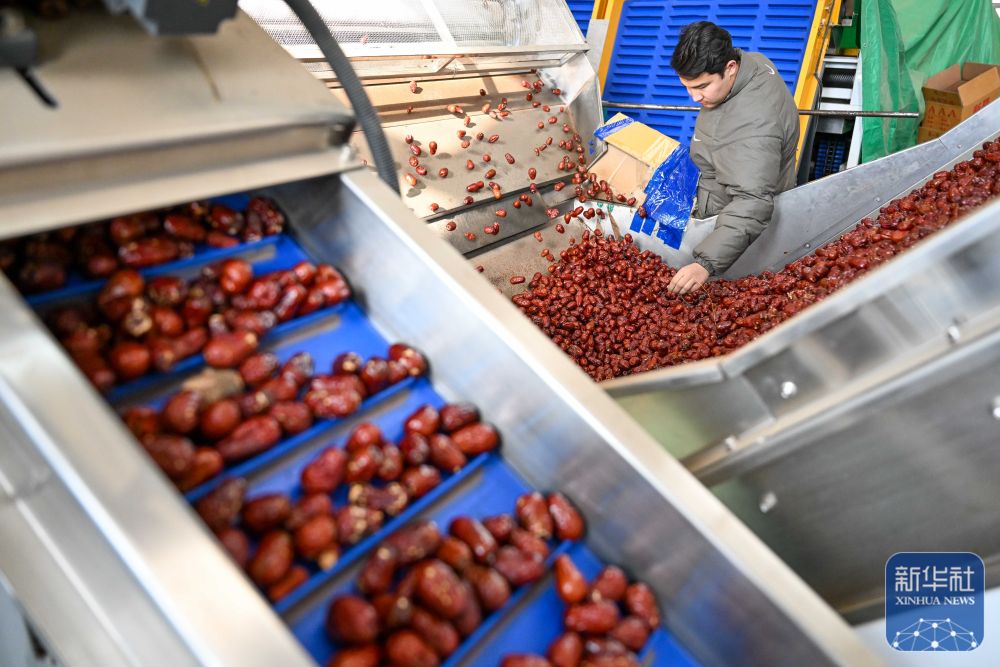 新春“疆”味浓 云端快车道助农增收 新春“疆”味浓 云端快车道助农增收