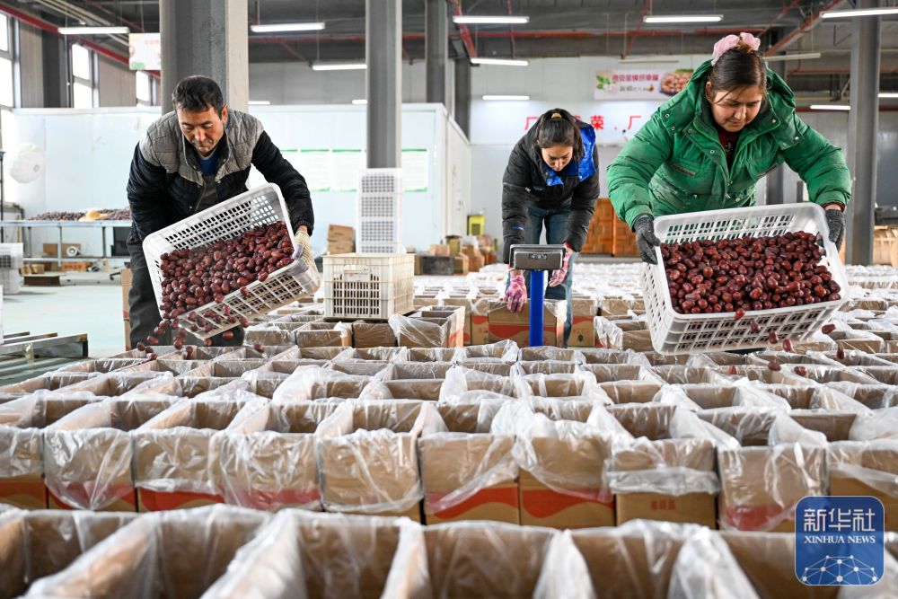 新春“疆”味浓 云端快车道助农增收 新春“疆”味浓 云端快车道助农增收