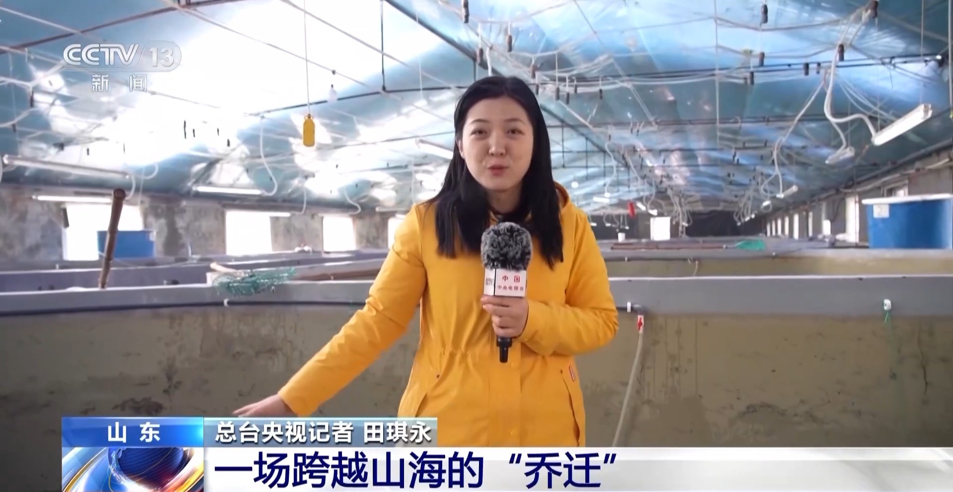 “十五五”开好局 起好步丨上百万尾鱼苗跨越山海 “蓝色粮仓”加速丰盈