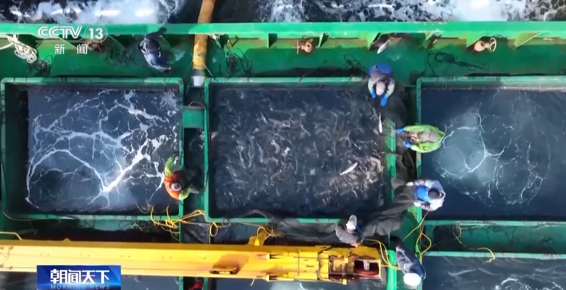 “十五五”开好局 起好步丨上百万尾鱼苗跨越山海 “蓝色粮仓”加速丰盈