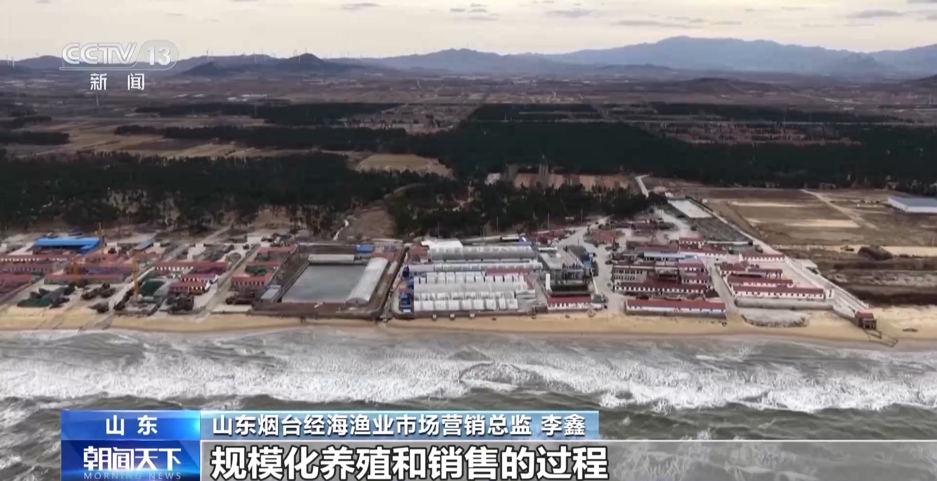 “十五五”开好局 起好步丨上百万尾鱼苗跨越山海 “蓝色粮仓”加速丰盈