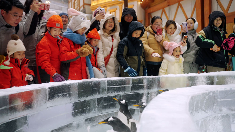 冰雪旅游持续升温 搅“热”开年消费市场