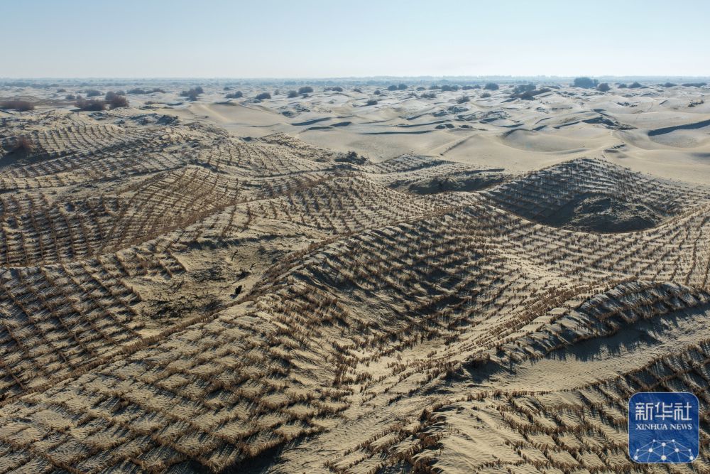 寒冬时节塔克拉玛干治沙正酣