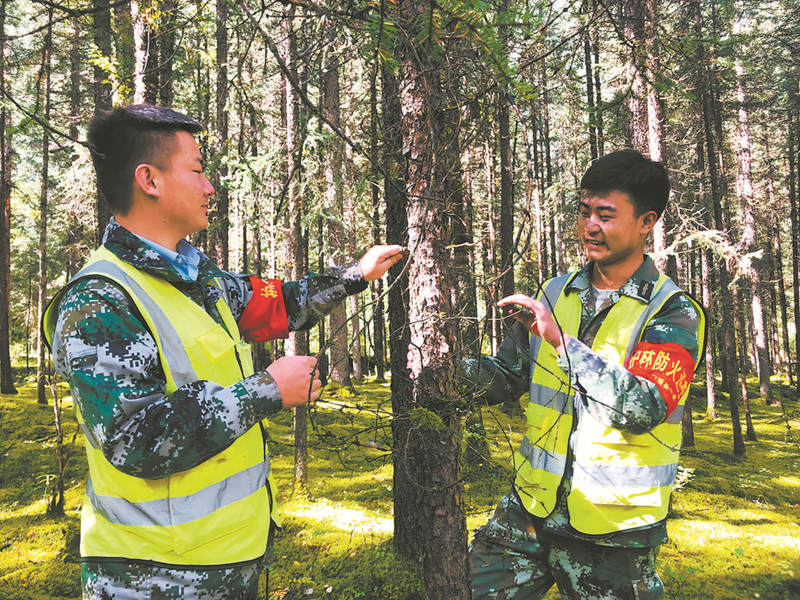 【“十五五”我所思·我所盼】牛抓西文学：盼生态丰富多样